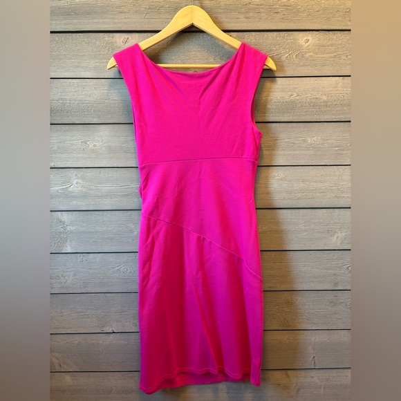 Express Pink Dress - Picture 3 of 5